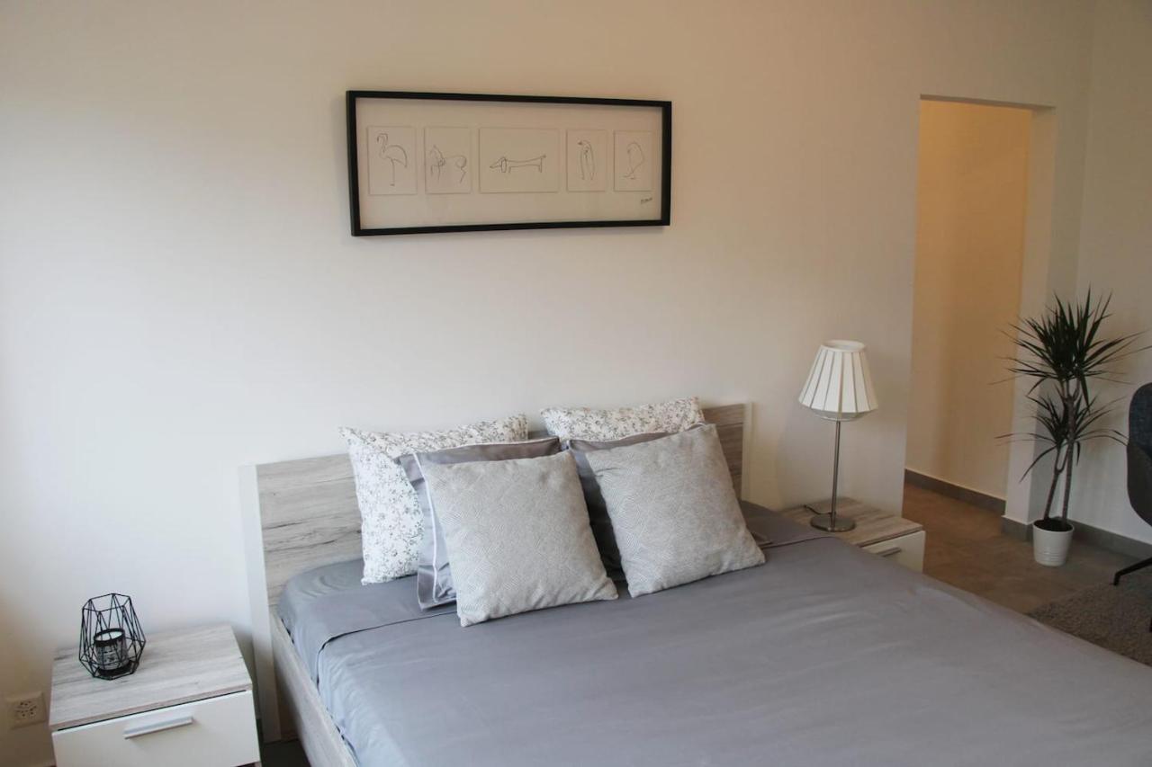New & Modern Apartment With Beautiful Lake View! ルガーノ エクステリア 写真